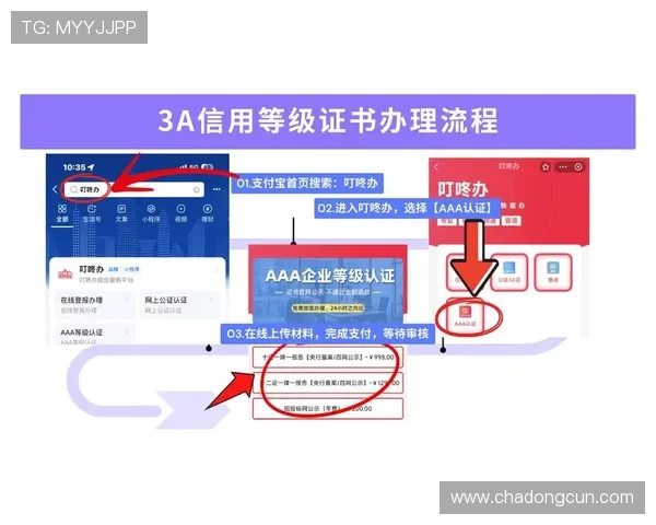 深入理解PA电子评级系统的工作原理及其对企业信用评估的重要作用