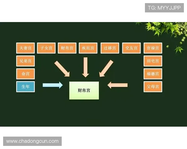 全面解析摇色子比大小的规则让你轻松理解游戏中的胜负判断方法