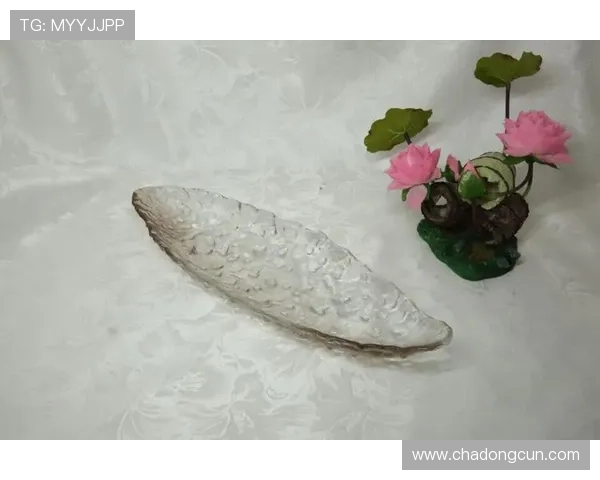 凯发线上官方网址查询指南，详细步骤教你轻松找到官方入口保障账号安全