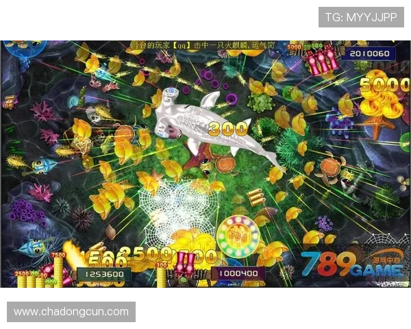 K8捕鱼游戏常见问题与解决方案玩家遇到卡顿和掉线的应对技巧