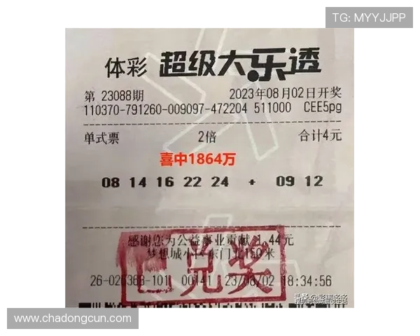 FC老虎机游戏中的奖金机制详解让你合理规划投注策略 FC老虎机游戏中的奖金机制详解让你合理规划投注策略