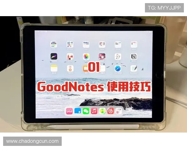 凯发网娱乐官网首页帮助新手玩家快速上手的实用技巧与常见问题解答